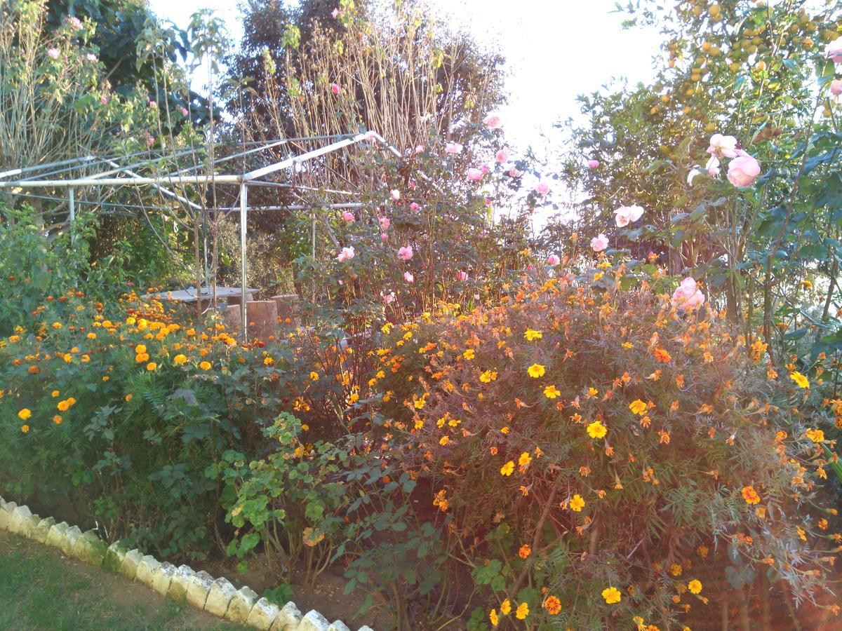 Maa Ananda Mayee Guest House Binsar Eksteriør billede