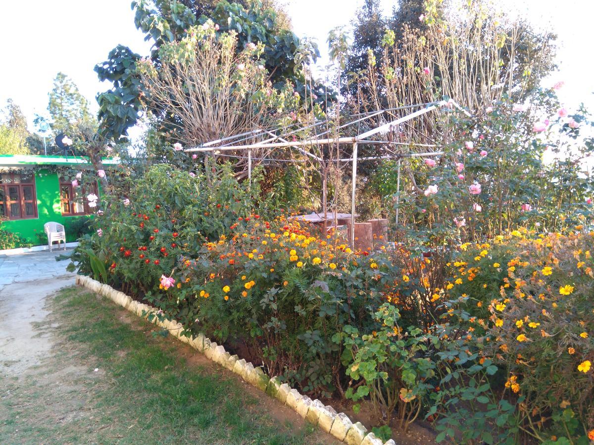 Maa Ananda Mayee Guest House Binsar Eksteriør billede